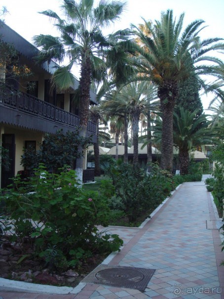 Хороший отель!