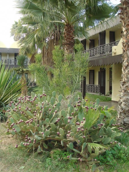 Хороший отель!