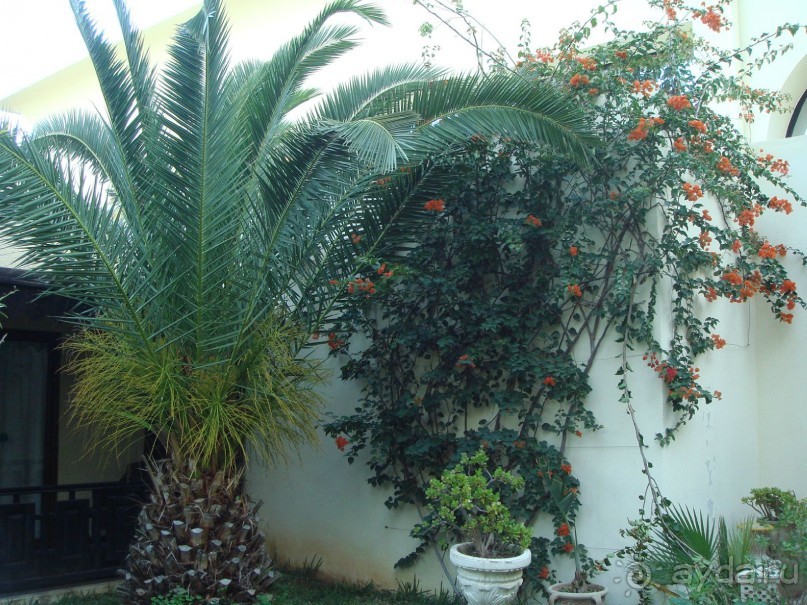 Хороший отель!