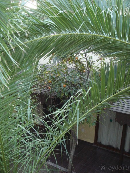 Хороший отель!