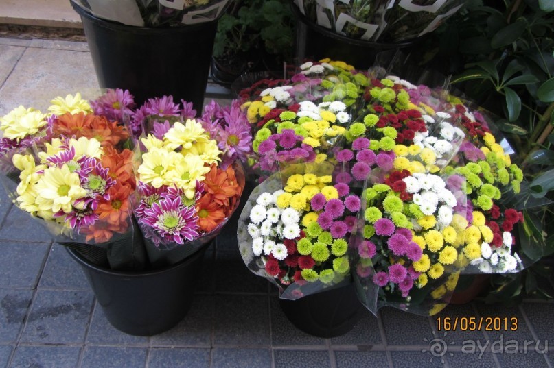 Поездка в Таррагону.