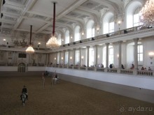 Великолепные лошади сказочной красоты! 