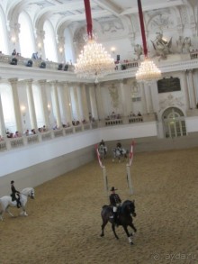 Великолепные лошади сказочной красоты! 