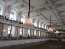 Великолепные лошади сказочной красоты! 