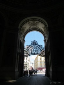 Великолепные лошади сказочной красоты! 