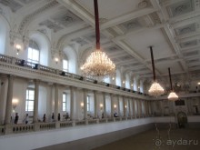 Великолепные лошади сказочной красоты! 