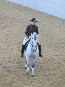 Великолепные лошади сказочной красоты! 