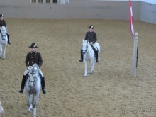 Великолепные лошади сказочной красоты! 