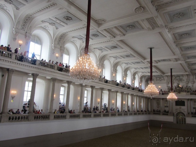 Великолепные лошади сказочной красоты! 