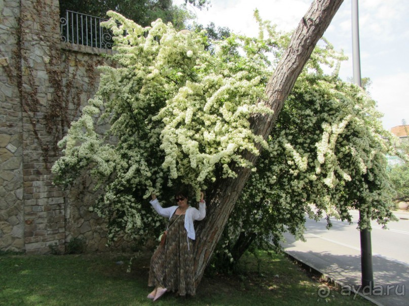 Приятная прогулка, красивые виды.