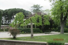 "Зеленые" легкие Мадрида!