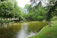 "Зеленые" легкие Мадрида!