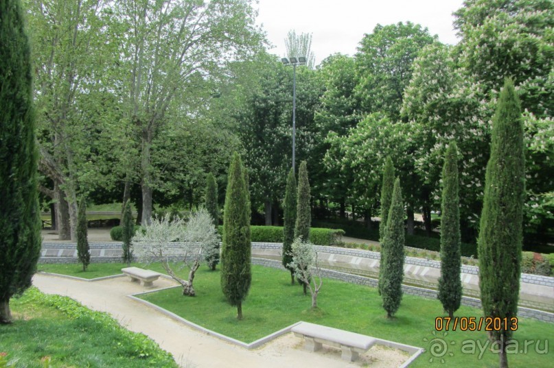 "Зеленые" легкие Мадрида!