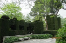 "Зеленые" легкие Мадрида!