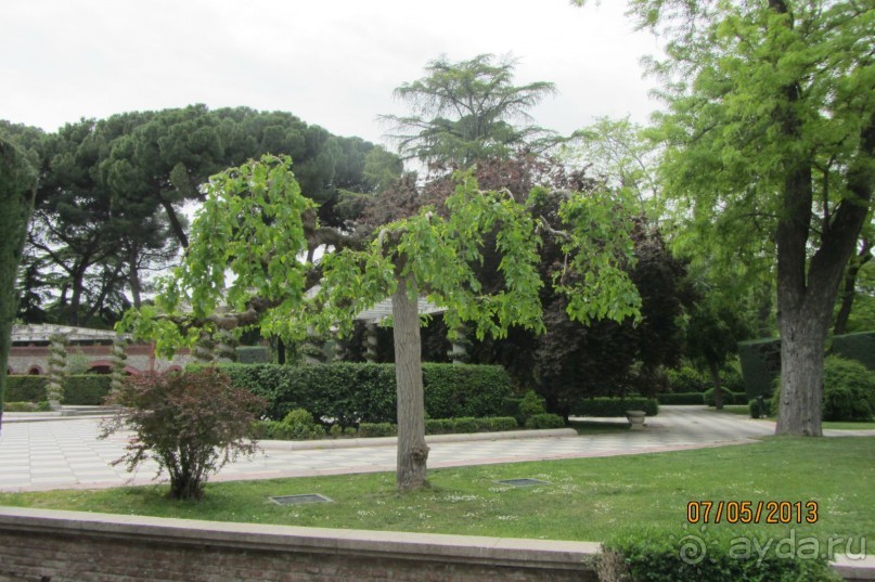 "Зеленые" легкие Мадрида! "Зеленые" легкие Мадрида!