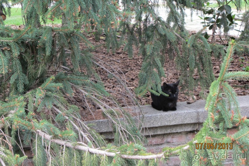 "Зеленые" легкие Мадрида! "Зеленые" легкие Мадрида!