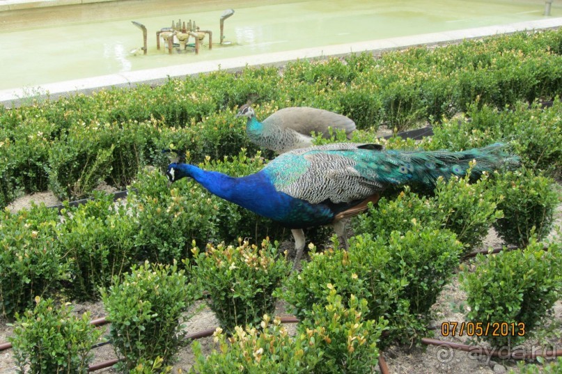 "Зеленые" легкие Мадрида! "Зеленые" легкие Мадрида!