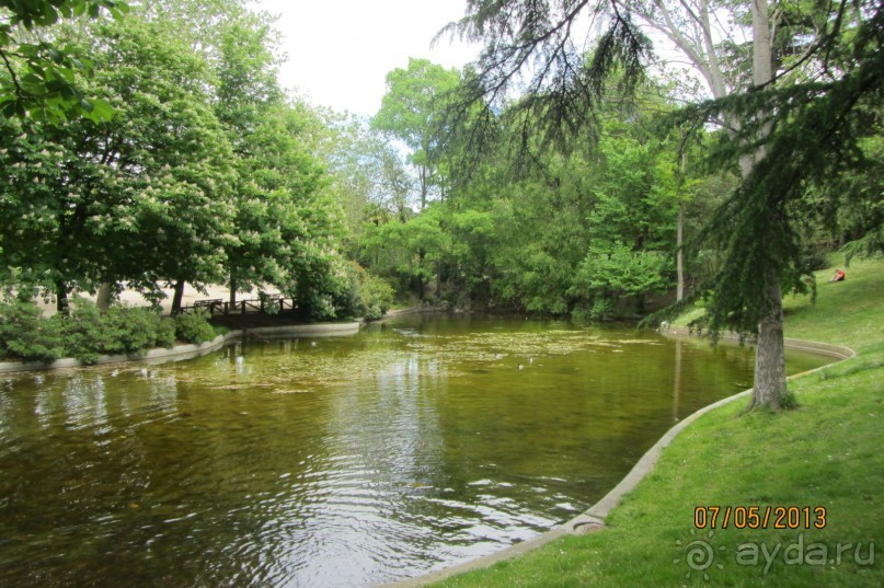 "Зеленые" легкие Мадрида! "Зеленые" легкие Мадрида!