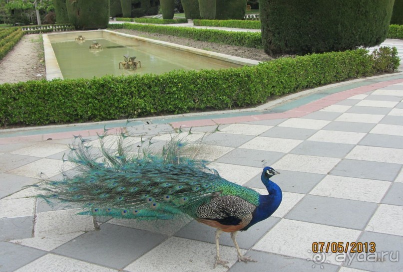 "Зеленые" легкие Мадрида! "Зеленые" легкие Мадрида!