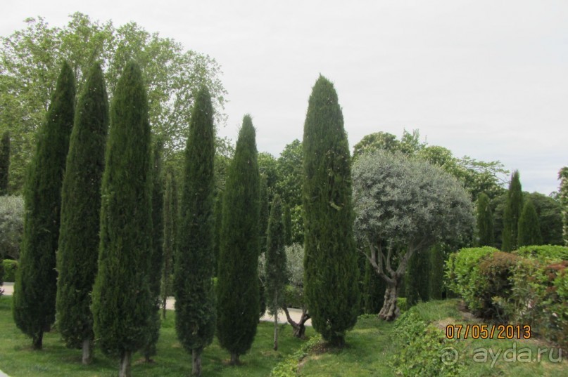 "Зеленые" легкие Мадрида! "Зеленые" легкие Мадрида!