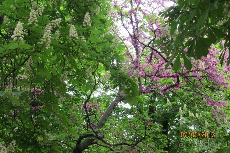 "Зеленые" легкие Мадрида! "Зеленые" легкие Мадрида!