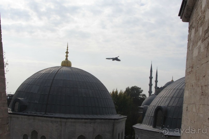 Стамбул! Я в восторге!