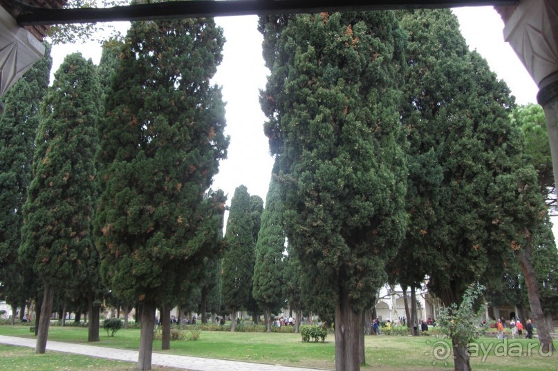 Стамбул! Я в восторге!