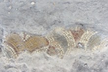 Древние мозаики