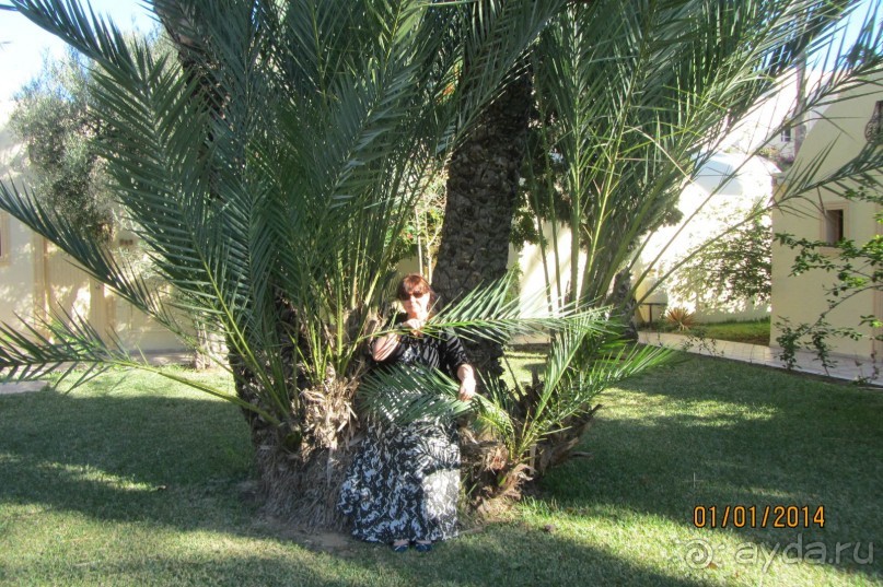 Мой любимый Paradis!