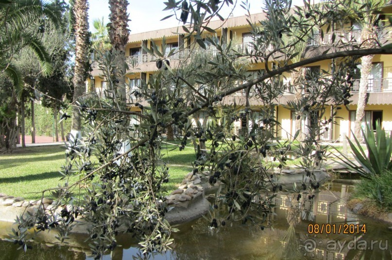 Мой любимый Paradis!