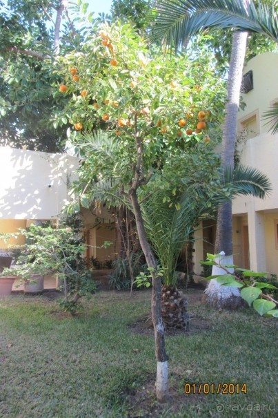 Мой любимый Paradis!