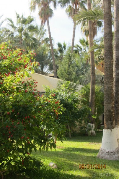 Мой любимый Paradis!