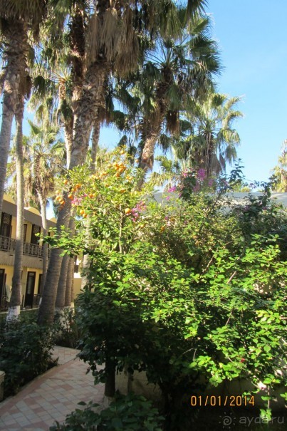 Мой любимый Paradis!