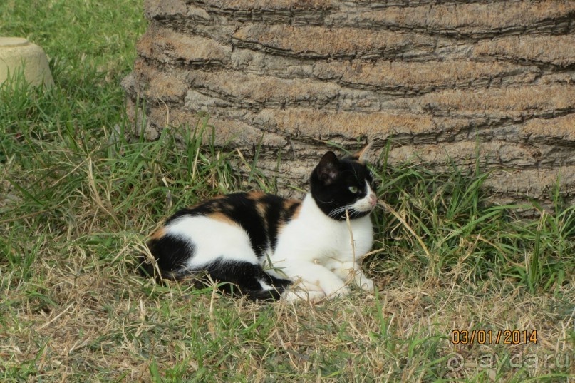 Мой любимый Paradis!