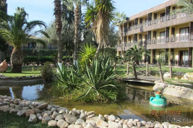 Мой любимый Paradis!