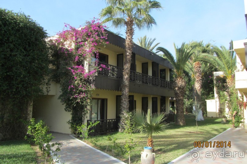 Мой любимый Paradis!