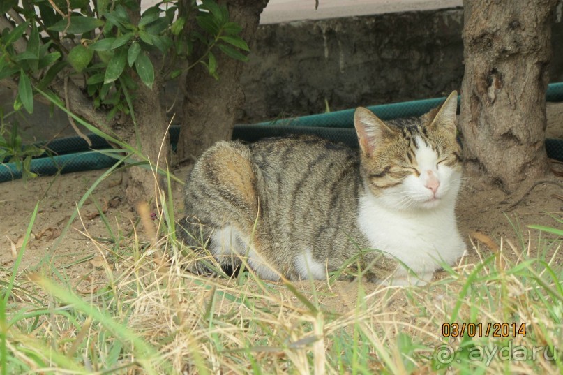 Мой любимый Paradis!