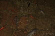 Здесь живут легенды и мифы древней Греции!