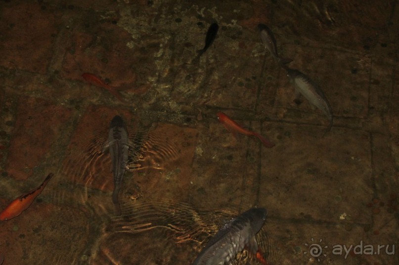 Здесь живут легенды и мифы древней Греции!