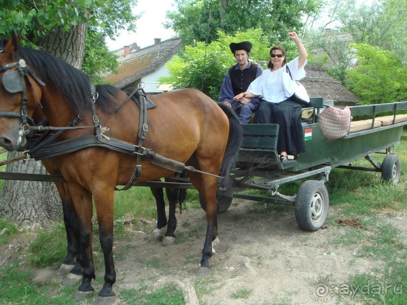 Мечта сбылась!