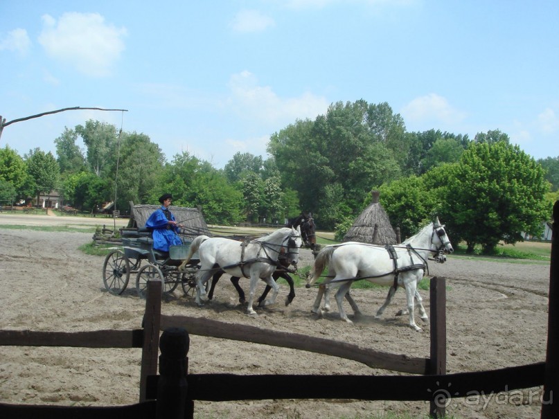 Мечта сбылась!