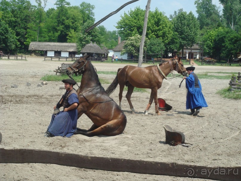Мечта сбылась!