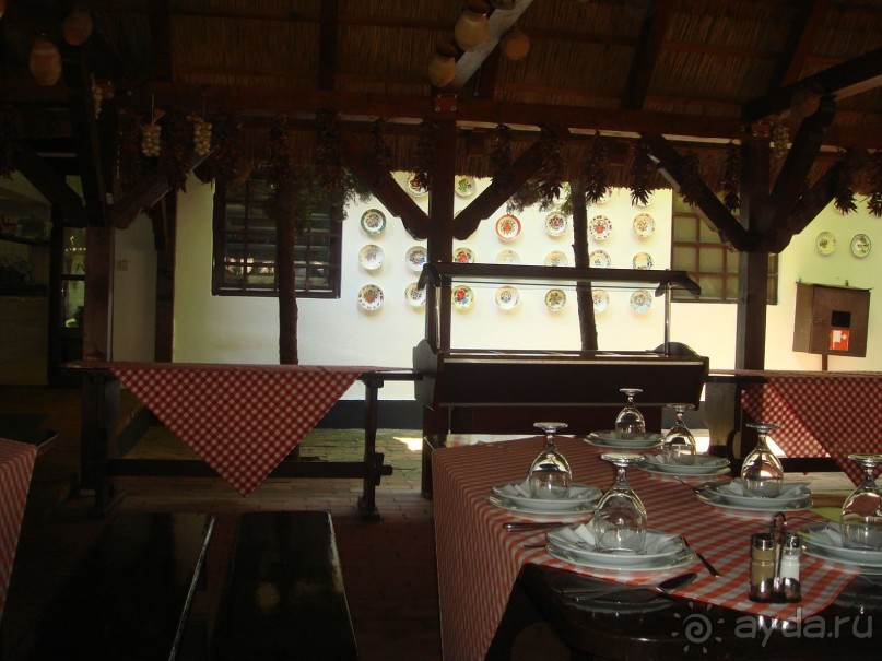 Мечта сбылась!