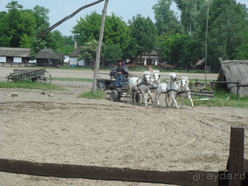 Мечта сбылась!