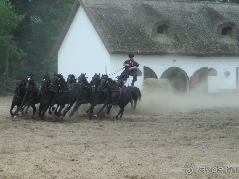 Мечта сбылась!