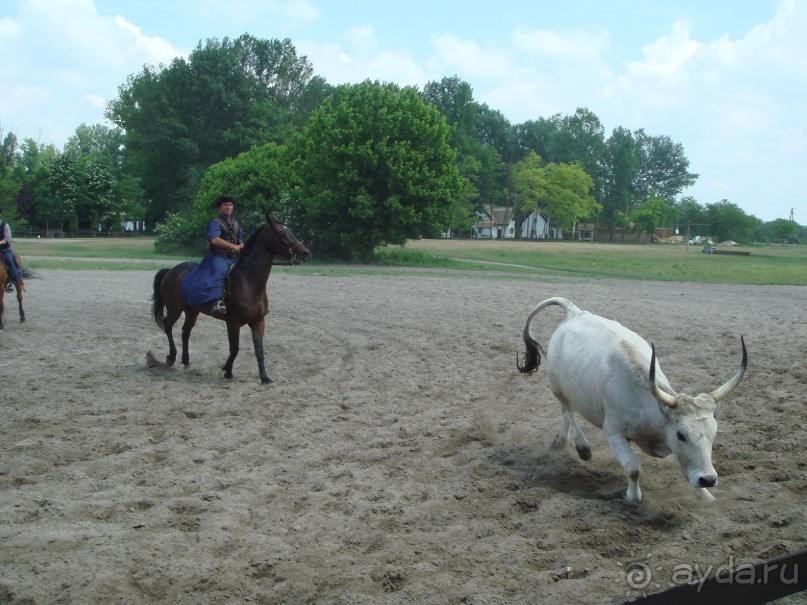 Мечта сбылась!