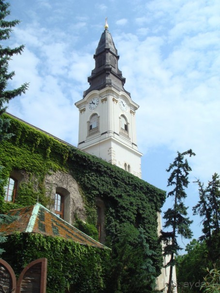 Мечта сбылась!