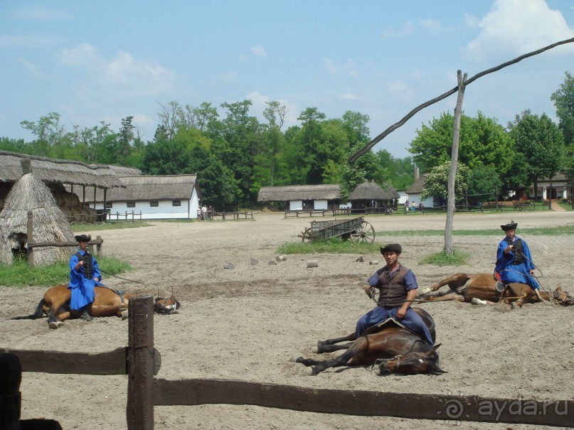 Мечта сбылась!