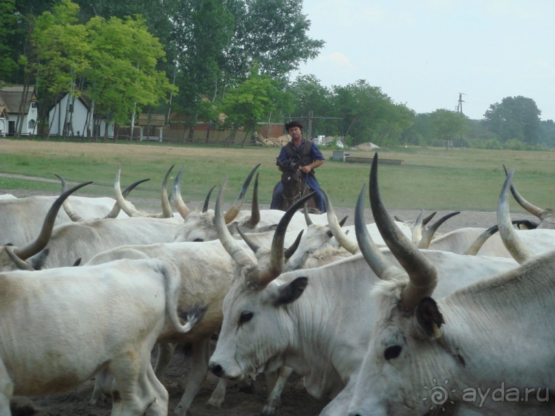 Мечта сбылась!