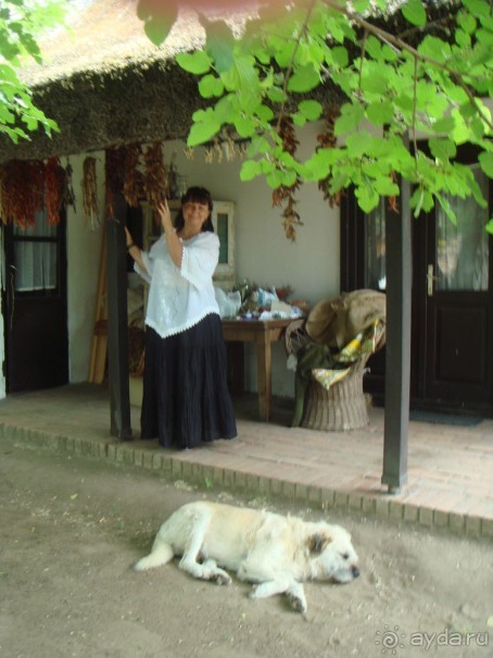 Мечта сбылась!